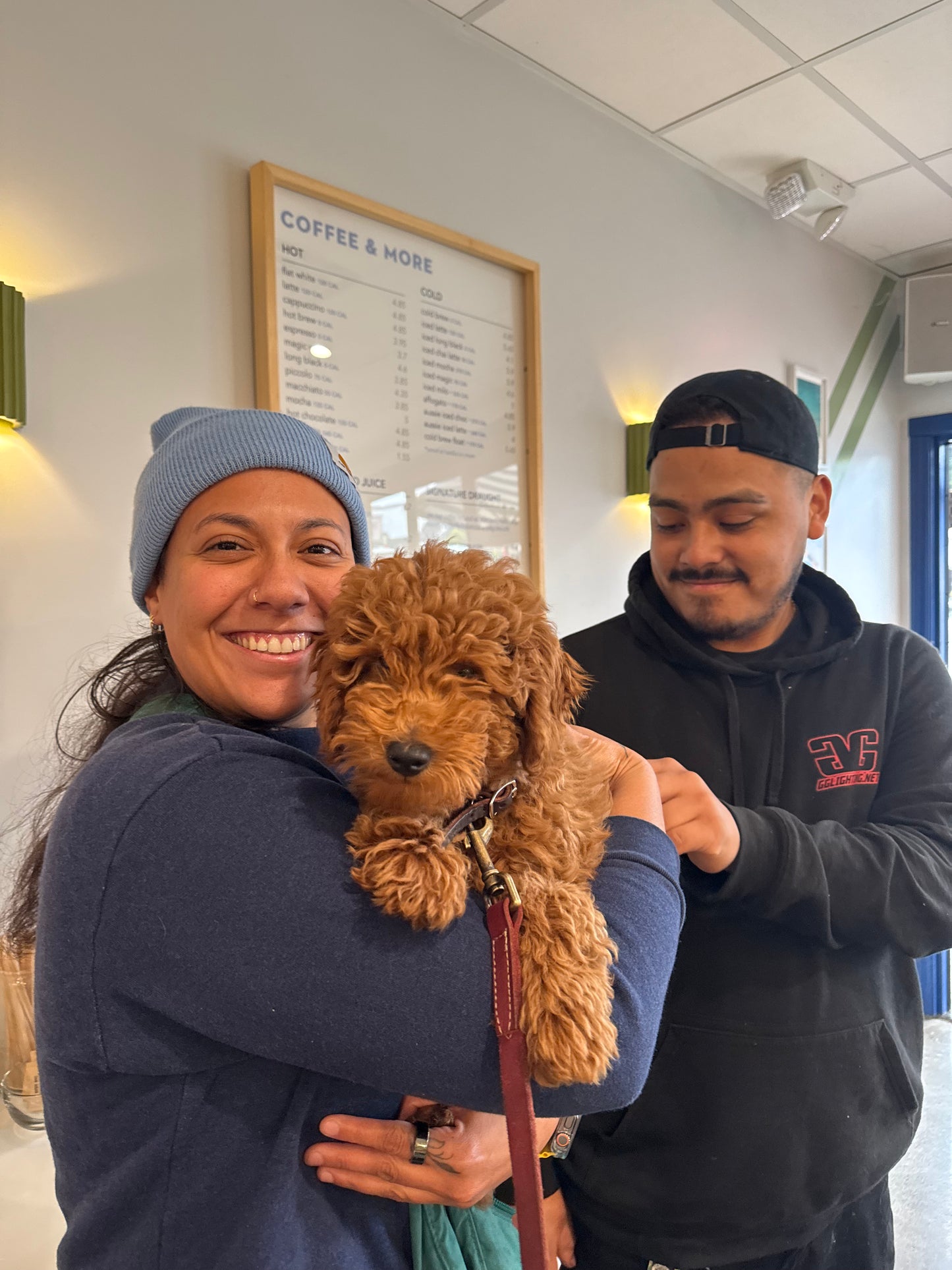 WarrenG β F1B Red Petite Goldendoodle | Future Stud Prospect | Ready Now!